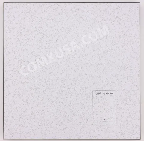 Tate CCN1250 Concrete Filled Raised Access Floor Panel